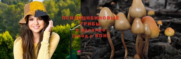 мет Алексин