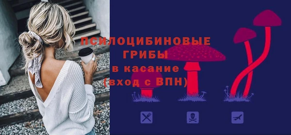 apvp Алзамай