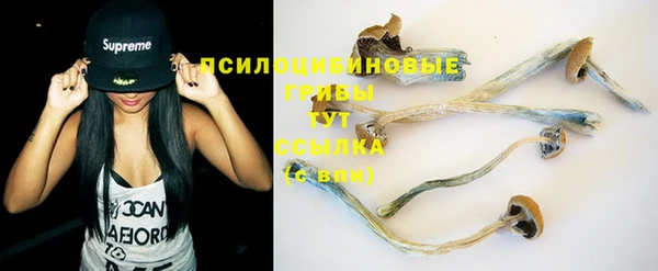 apvp Алзамай