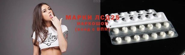apvp Алзамай