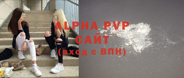 apvp Алзамай