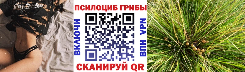 Галлюциногенные грибы Magic Shrooms  Пустошка 