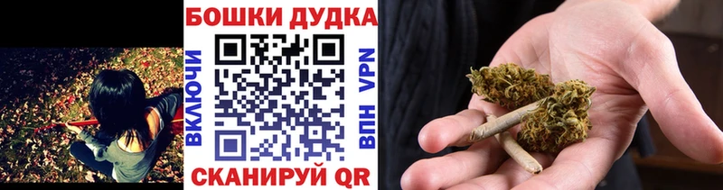 Бошки Шишки THC 21%  kraken ONION  Пустошка  где продают  